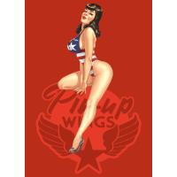 Pin-Up Wings Coffret 4 Vol + Plaque