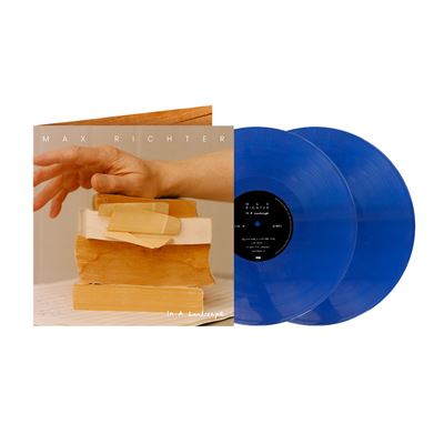 In A Landscape Édition Limitée Exclusivité Fnac Vinyle Bleu
