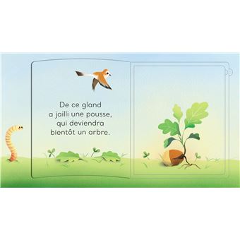 Tout un monde : L'arbre