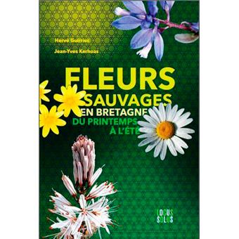 Fleurs Sauvages En Bretagne - 