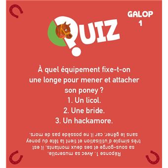 Le quiz 100% Chevaux