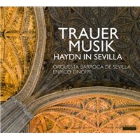 HAYDN A SEVILLE MUSIQUE F/DOYLE