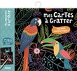 Ma pochette d'artiste - mes cartes à gratter - oiseaux fantastiques