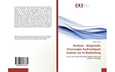 Analyse - diagnostic d'ouvrages hydrauliques réalisés sur le Baobolong