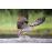 Les saisons DVD_1