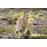 Les saisons DVD_4