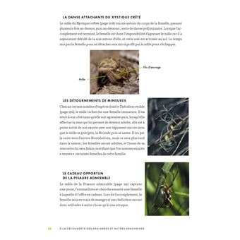 A la découverte des araignées et autres arachnides