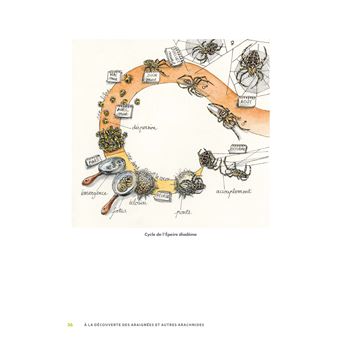 A la découverte des araignées et autres arachnides