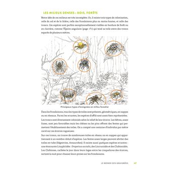 A la découverte des araignées et autres arachnides