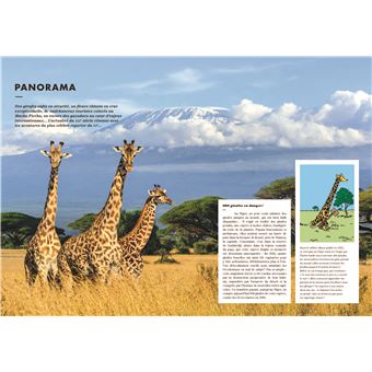 Tintin c'est l'aventure n°16 - L'Ecosse