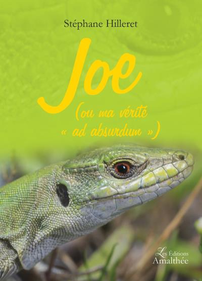 Joe (ou ma vérité « ad absurdum »)