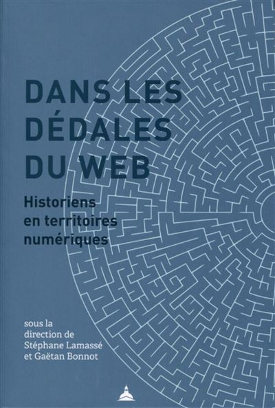 Dans les dédales du web - Stéphane Lamassé - broché