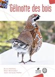La Gélinotte des bois