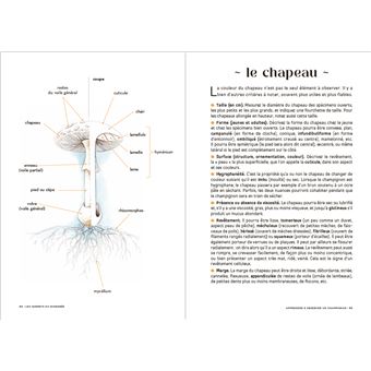 Les carnets du scarabée - Géologie