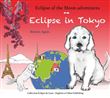 Eclipse in Tokyo