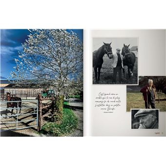 Gabin à table - Les recettes préférées de l'acteur, racontées par son petit-fils, cuisinées par un g