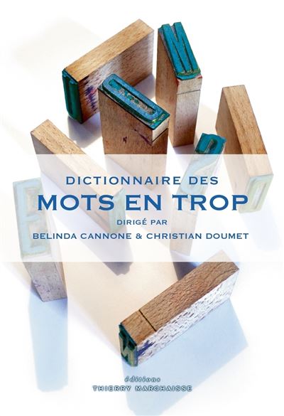 Dictionnaire des mots en trop - Belinda Cannone - broché
