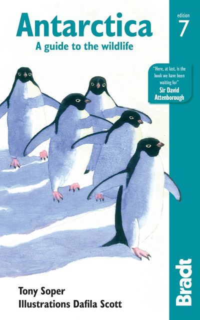 Antarctica wildlife