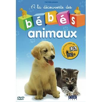 Bébés Animaux A La Découverte Des Bébés Animaux Dvd Zone 2 Achat Prix Fnac