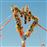 Flowers - CD