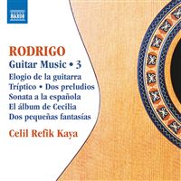 GUITAR MUSIC, VOL. 3