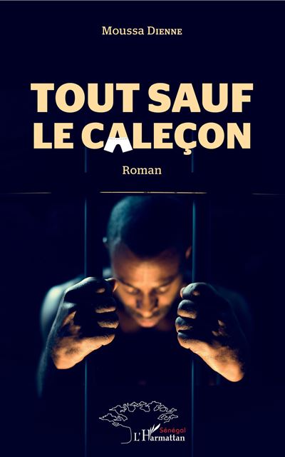 Tout sauf le caleçon - Moussa Dienne - broché