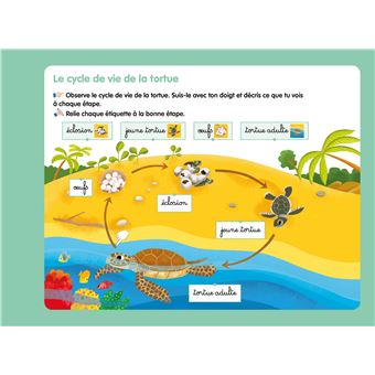 Les livres-ardoises - Les Cycles de vie Montessori