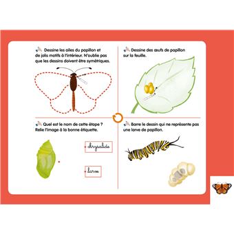 Les livres-ardoises - Les Cycles de vie Montessori
