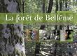 La forêt de Bellême