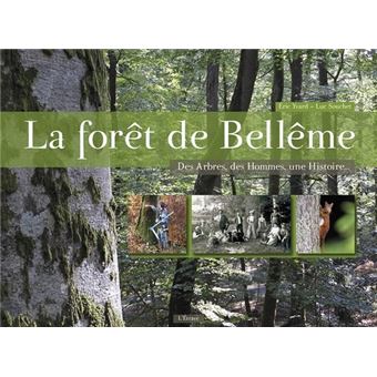La forêt de Bellême