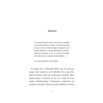 La fée lumière