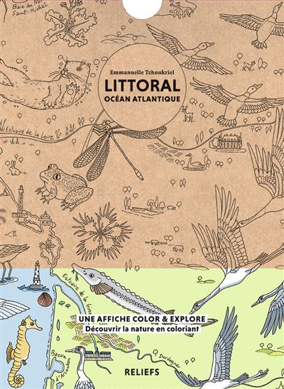 Littoral ocean atlantique affiche a colorier