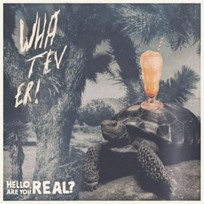 HELLO ARE YOU REAL/LP