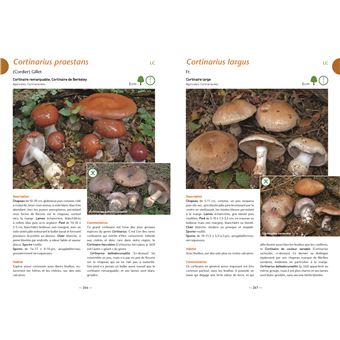 A la découverte des Champignons de Bourgogne-Franche-Comté