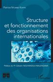 Structure et fonctionnement des organisations internationales