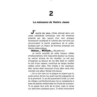 Ventre Jaune
