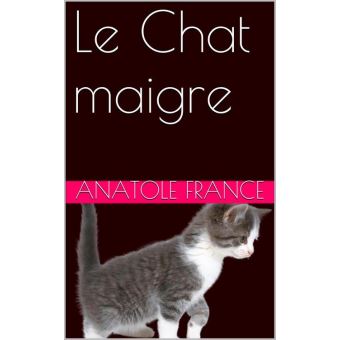 Le Chat Maigre Ebook Epub Anatole France Achat Ebook Fnac