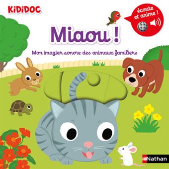 Chat Miaou Youtube