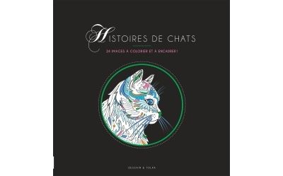 Coloriage histoires de chats -  Collectif - broché
