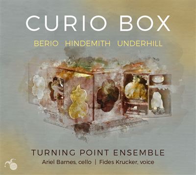 Curio box