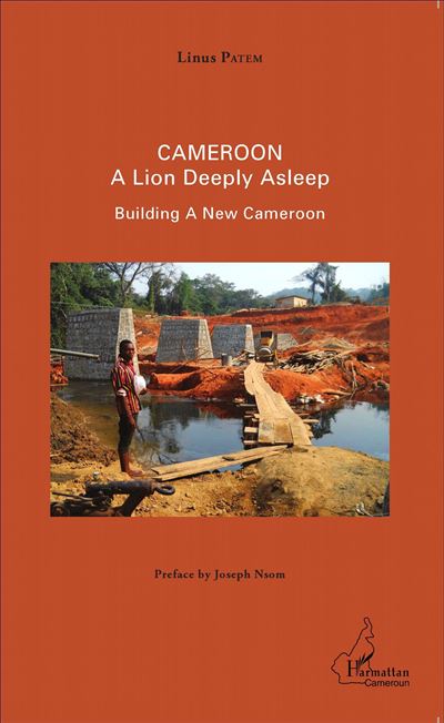 Cameroon, a lion deeply asleep