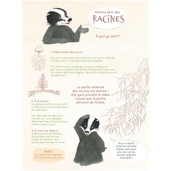 La Famille Blaireau-Renard - La Famille Blaireau-Renard présente les arbres