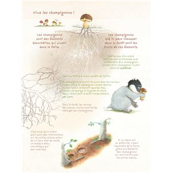 La Famille Blaireau-Renard - La Famille Blaireau-Renard présente les arbres