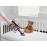 Dyson V7 Fluffy Cordless Vacuum - voor harde vloeren_4