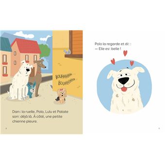 La star de Polo Niveau 1