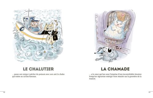 Les Chats Mots Broche Daniel Lacotte Pierre Fouillet Achat Livre Ou Ebook Fnac