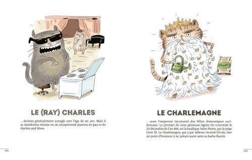 Les Chats Mots Broche Daniel Lacotte Pierre Fouillet Achat Livre Ou Ebook Fnac