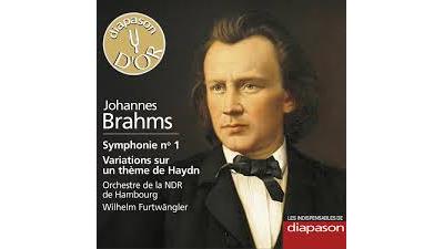 Symphonie n.1 - Variations Haydn