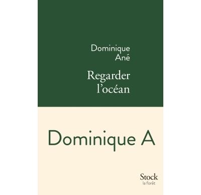 Regarder l'océan