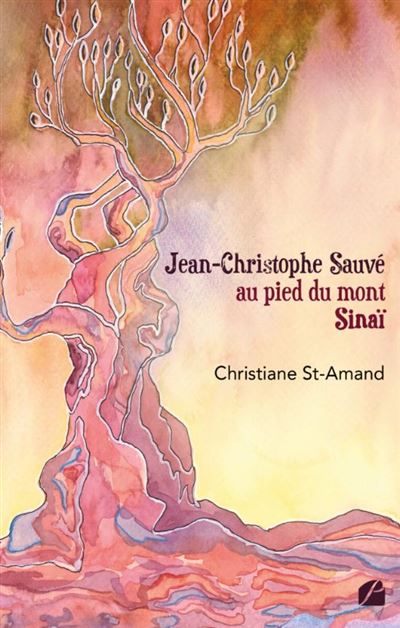 Jean-Christophe Sauvé au pied du mont Sinaï - Christiane St-Amand - broché